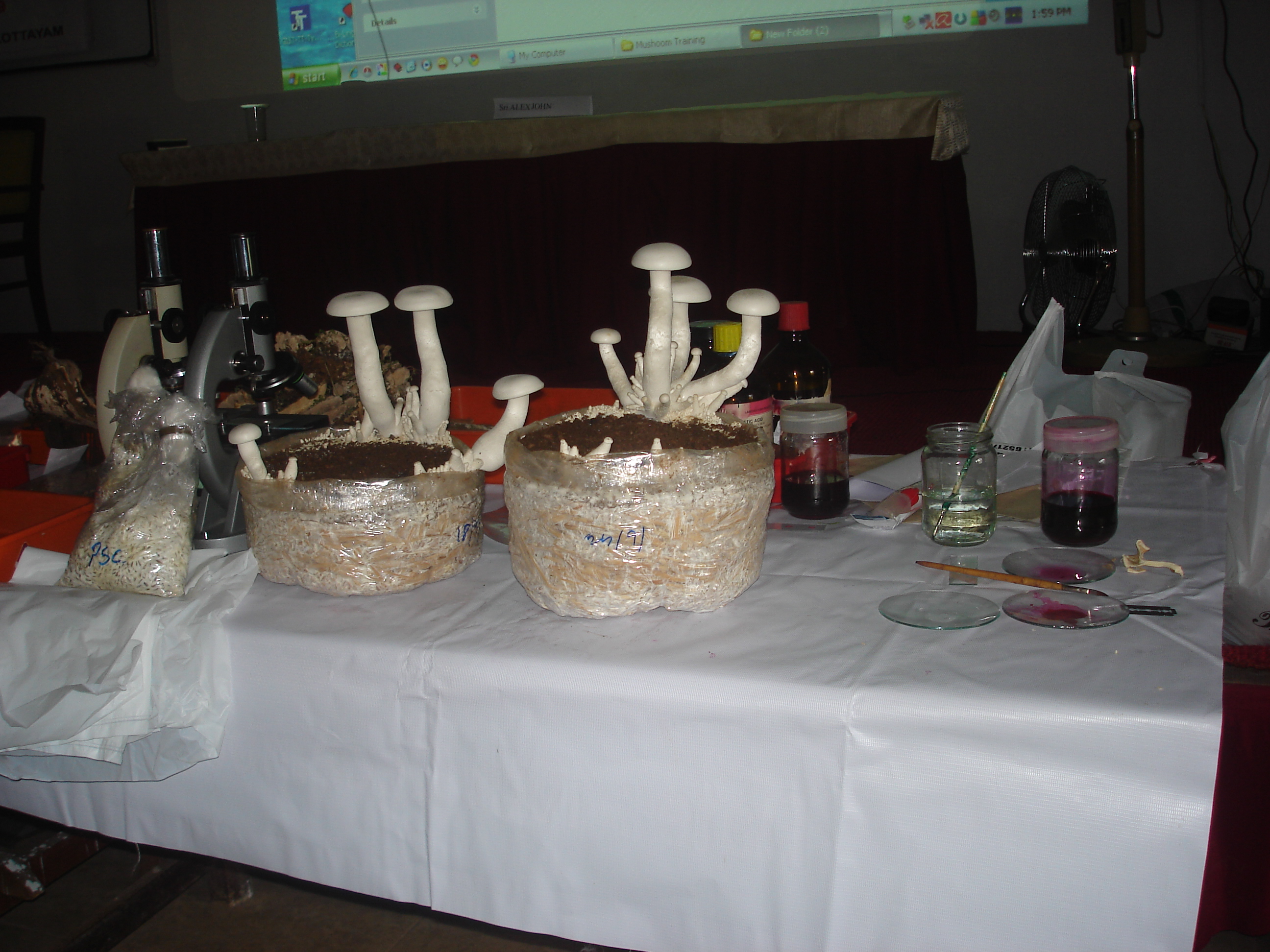 Mushroom Cultivation 